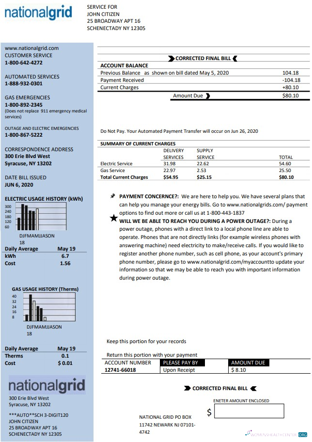 download download USA New York National Grid utility bill template in Word and PDF format PDF template PDF template